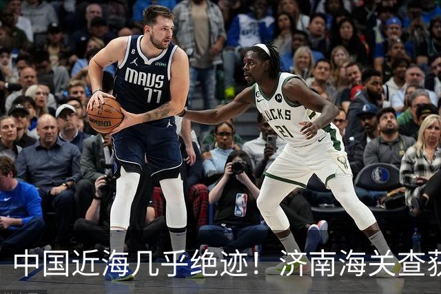 中国近海几乎绝迹！济南海关查获17只手镯，竟是由极危"国宝"制成