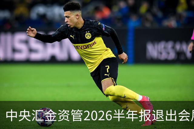 中央汇金资管2026半年报退出会展服务行业兰生股份前十大股东名单