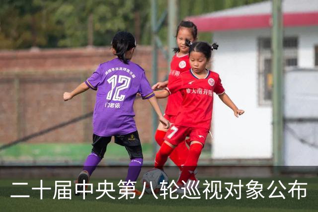 二十届中央第八轮巡视对象公布