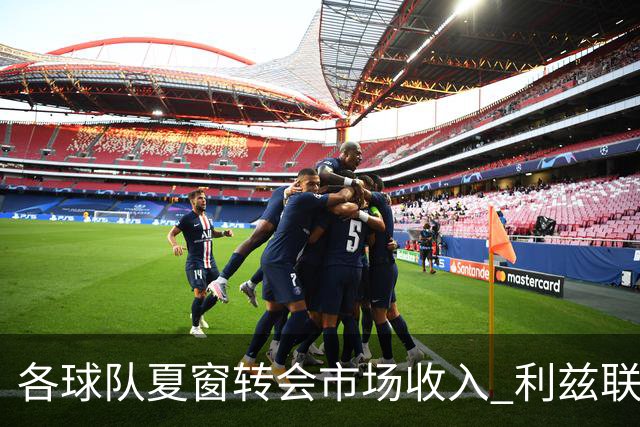 各球队夏窗转会市场收入 利兹联1.629亿高居榜首