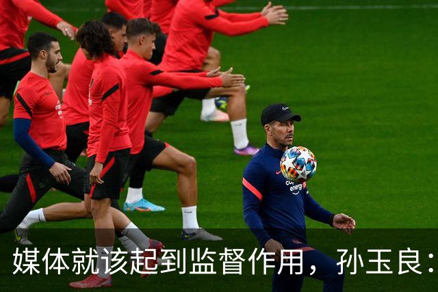 媒体就该起到监督作用，孙玉良：需要唱赞歌，请把这个权利给人民