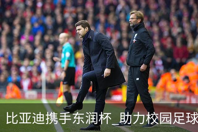 比亚迪携手东润杯 助力校园足球少年圆梦工体