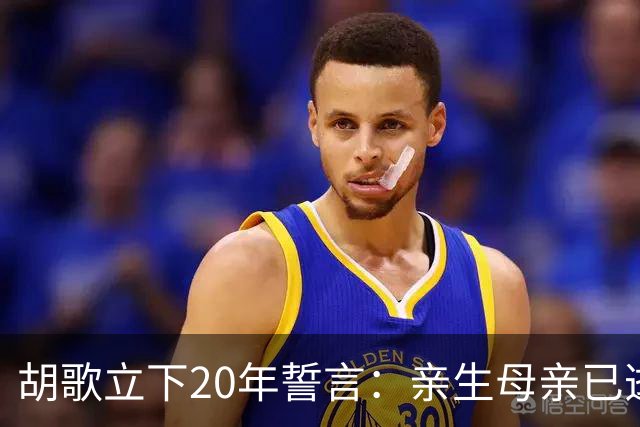 胡歌立下20年誓言：亲生母亲已逝，还有另一对父母在山东等着他
