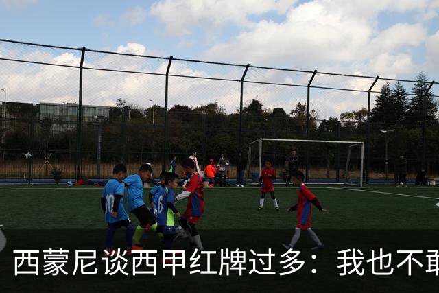 西蒙尼谈西甲红牌过多：我也不敢说实话啊！