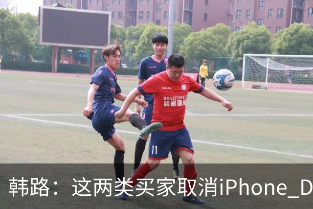 韩路：这两类买家取消iPhone Duo订单“很正常”